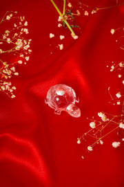 Natural Clear Quartz Tortoise with Silver